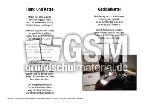 Hund-und-Katze-Busch.pdf